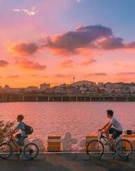 18款禁用软件app糖心-篇章之选，解锁科技的多元视窗