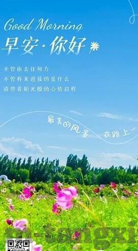 18款禁用软件app糖心-探索数字世界的边界，理解18款禁用软件背后的信息洞见