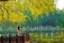 91亚洲国产成人久久精品麻豆-成人世界与审慎探索，亚洲国产精品的偶尔话题探索