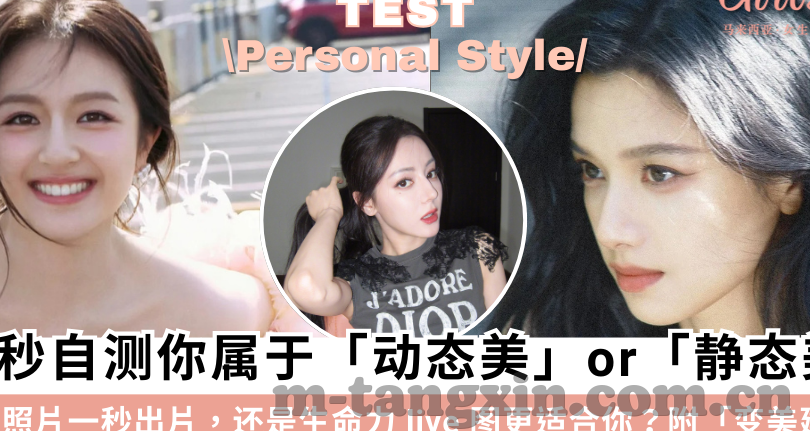 果冻传媒应用-果冻传媒应用，创新与娱乐的完美融合
