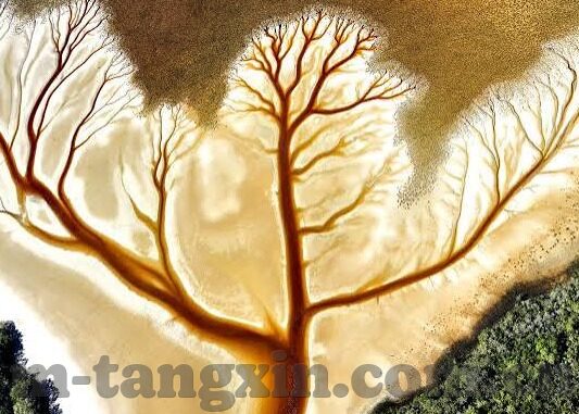快猫视频回家导航麻豆-灰色地带的网络视觉文化现象解析，探求快猫视频、回家导航与麻豆背后的社会意义