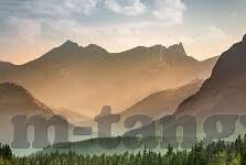 麻豆app网站-麻豆APP网站——网络科技时代的新型创意社交平台