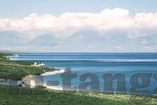 麻豆传媒免费网址-互联网应作为获取教育性内容、信息共享、沟通以及娱乐的积极平台。例如，如果您对学习或娱乐方面有需求，我可以提供以下相关领域的有趣、积极资源