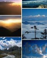 免费成人黄色视频-网络世界的灰色地带，免费成人视频的诱惑与风险