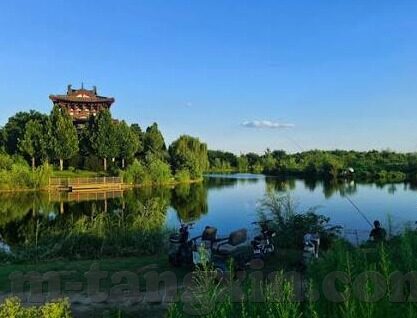 台湾大象传媒app下载-探索台湾大象传媒app，数字时代的文化桥梁