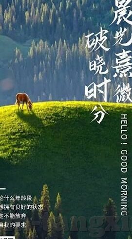 糖心app会员充值-糖心app会员充值，解锁精彩的线上娱乐体验