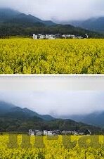 糖心视频app官网入口-深入了解网络世界中的信息甄别